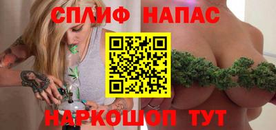 шишки Можга